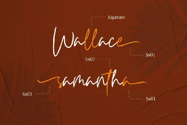 Carnollia Modern Signature font