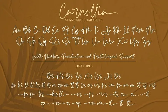 Carnollia Modern Signature font