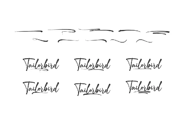 Tailorbird Demo font