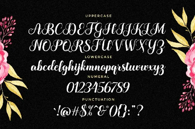 The Humble Script font