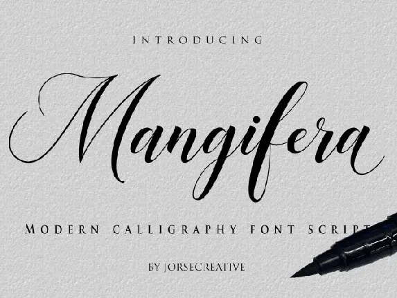 Mangifera Modern Calligraphy font