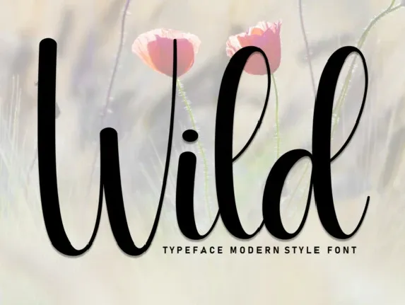 Wild Script font