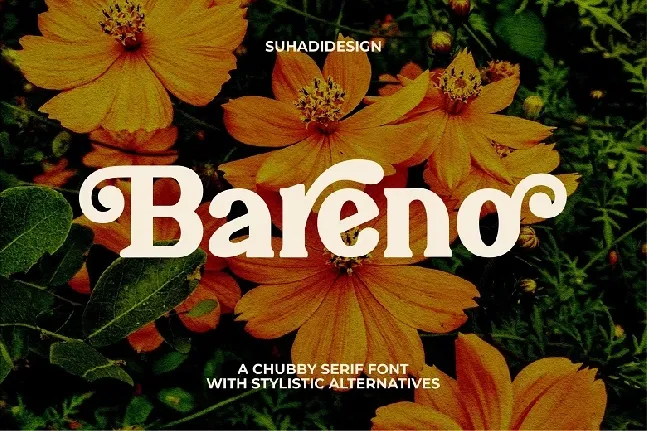 Bareno font