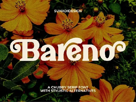 Bareno font