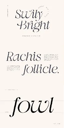 Swily Bright font