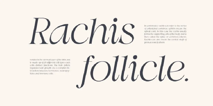 Swily Bright font