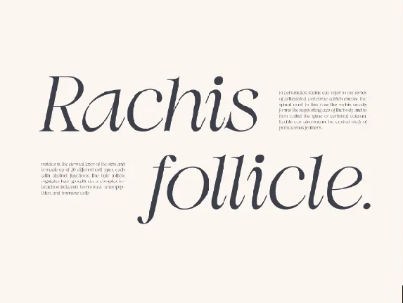 Swily Bright font