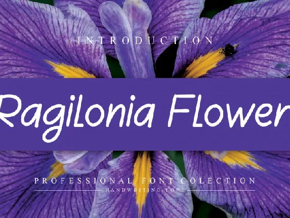 Ragilonia Flower Handwritten font