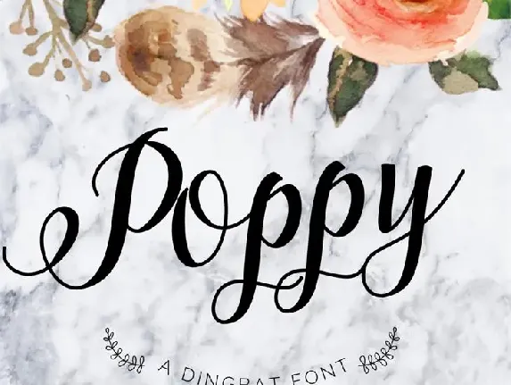 Poppy Script font