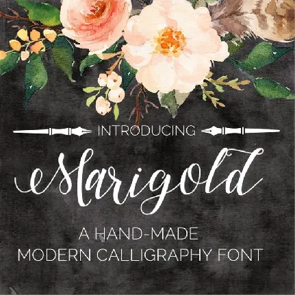 Marigold font