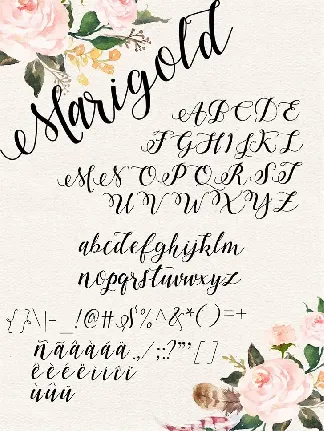 Marigold font