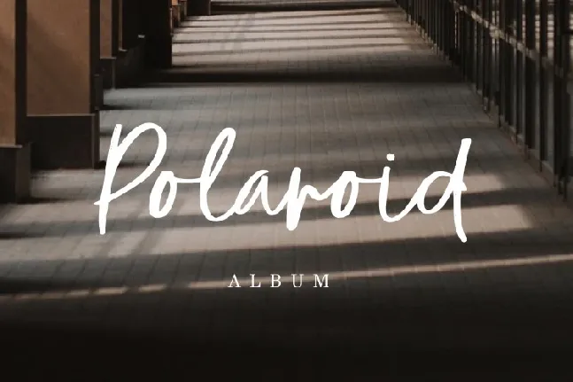 Monday Script Font