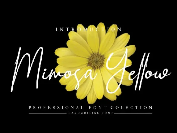 Mimosa Yellow Script font