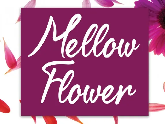 Mellow Flower Script font