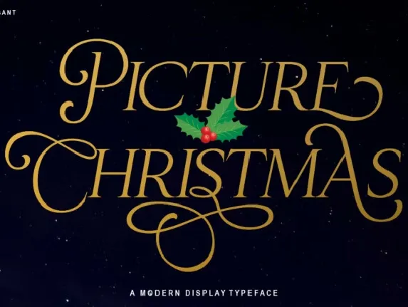 Christmas Picture font