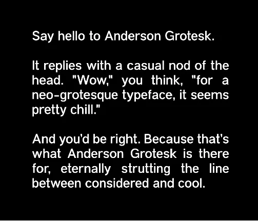 Anderson Grotesk Family font