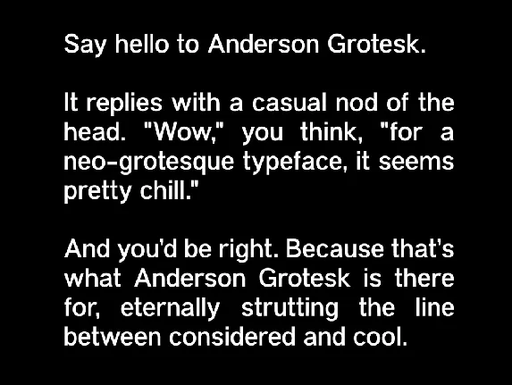 Anderson Grotesk Family font