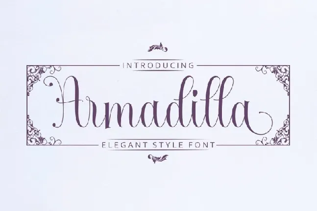 Armadilla Script font