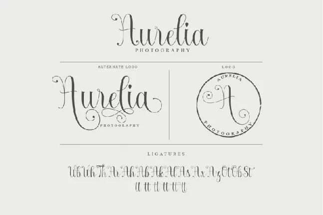 Armadilla Script font