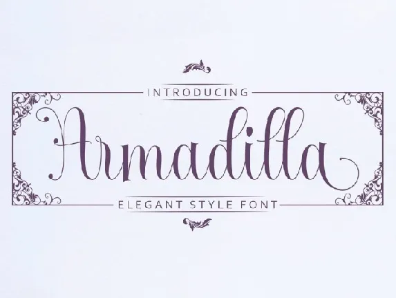 Armadilla Script font