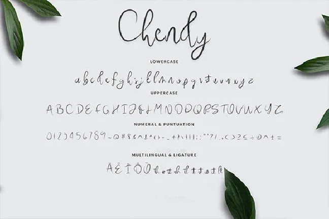 Chendy Handwritten Script font