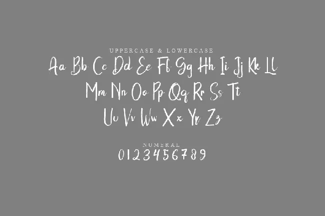 Telor font