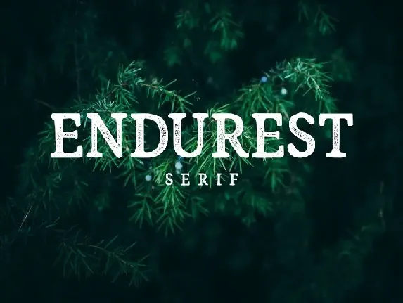 Endurest font