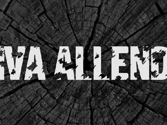 Viva Allende font