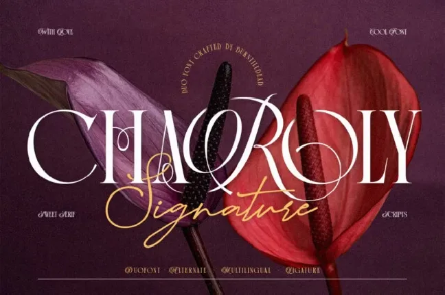 Charoly Signature Duo font