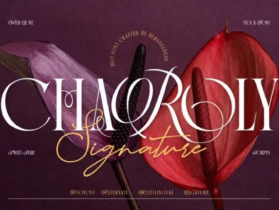 Charoly Signature Duo font