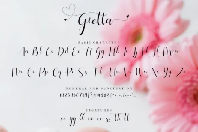 Gietta Calligraphy font