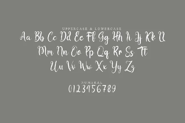 Blife font