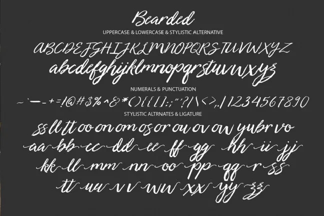 Bearded Script font