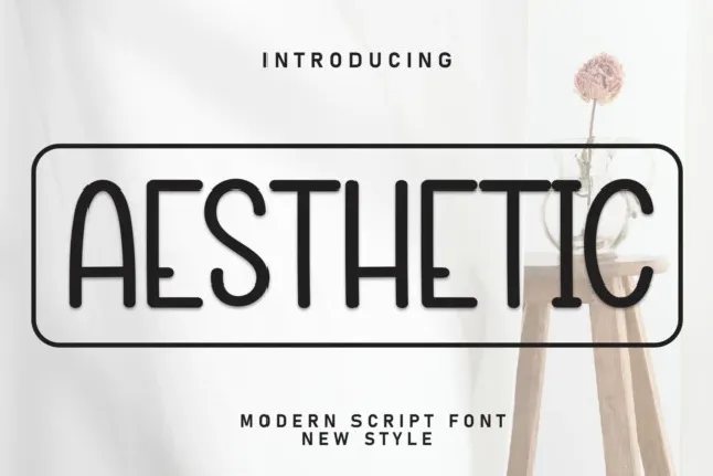 Aesthetic Display font