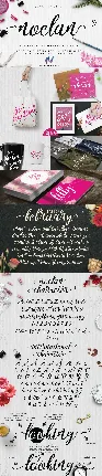 Noelan Script font