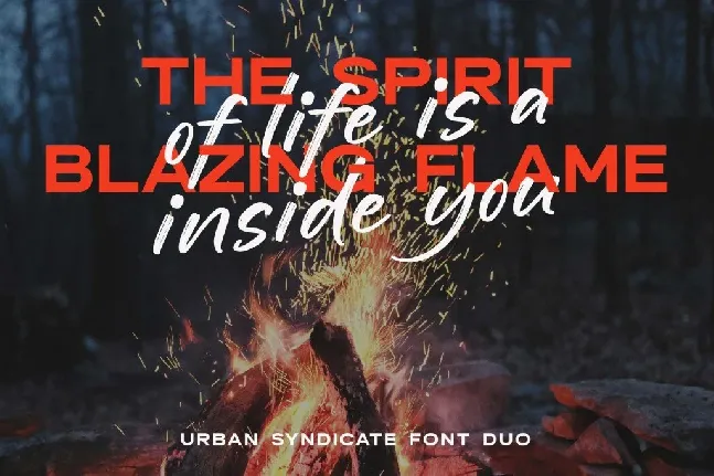 Urban Syndicate Sans DEMO font