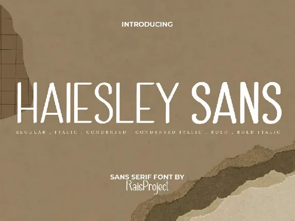 Haiesley Sans font