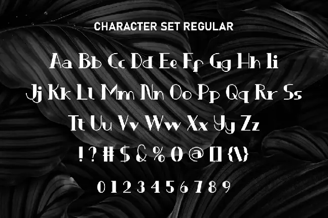 Rich Auntie Demo font