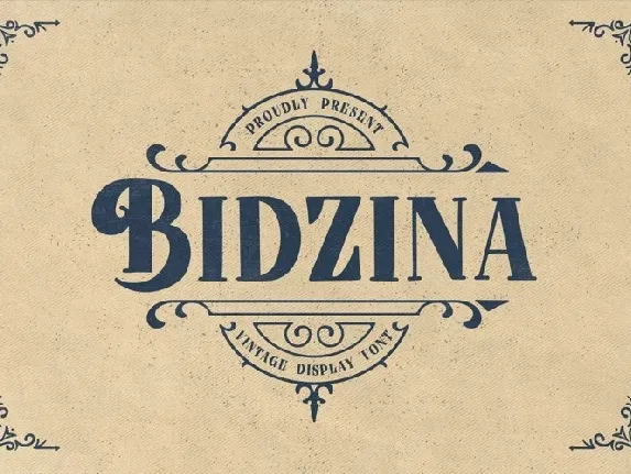 Bidzina font