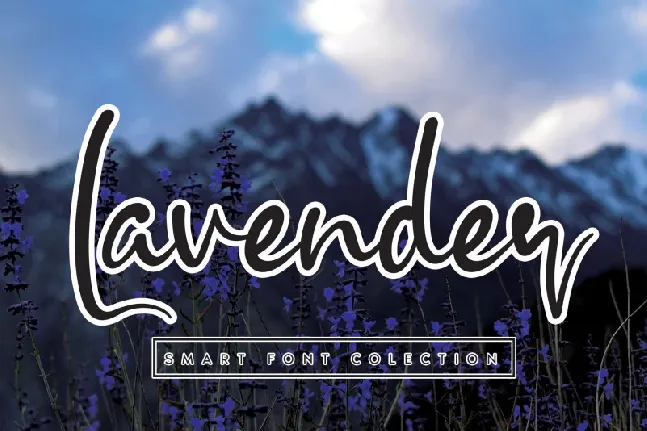 Lavender Script font