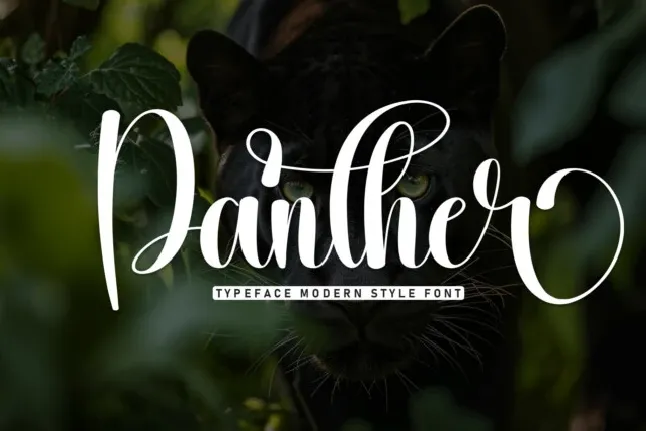 Panther Script font