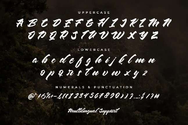 Chesnut font