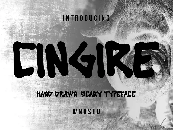 Cingire font