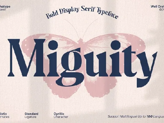 Miguity font