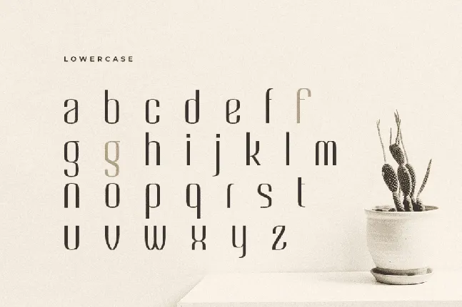 Angelia font