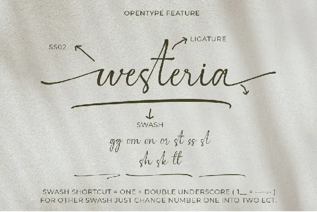 Westeria font