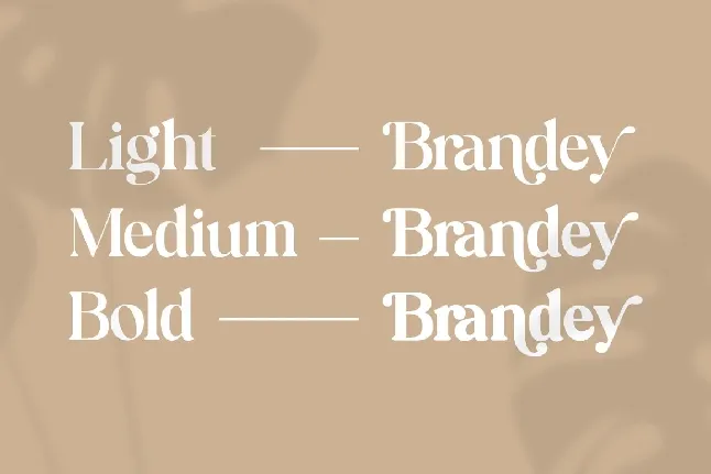 Brandey font