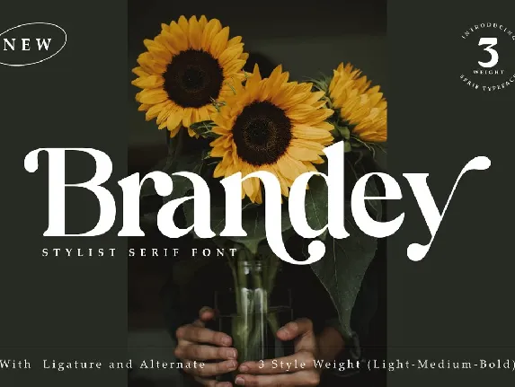 Brandey font