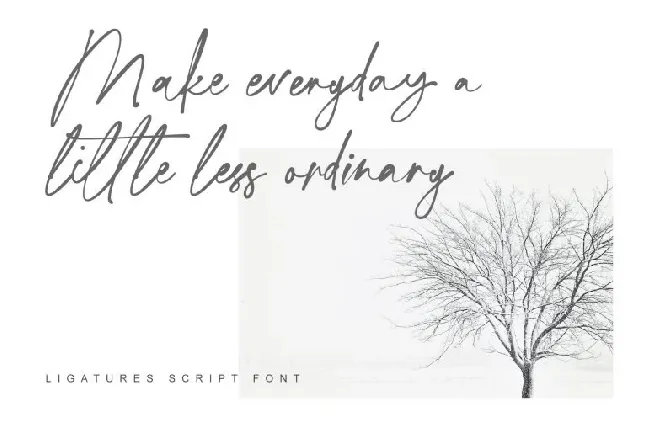 Ligatures Script font