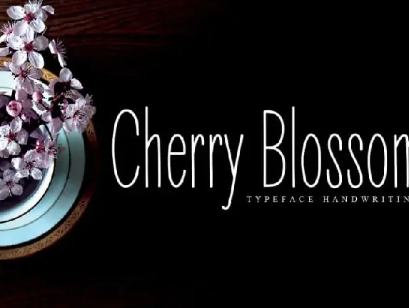 Cherry Blossom Display font